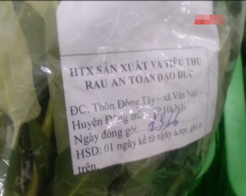 Rau sạch bức xúc chuyện ‘chăn rau’ - ảnh 2