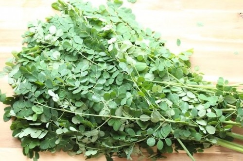 Rau chùm ngây sẽ rất độc với những người này! - ảnh 4