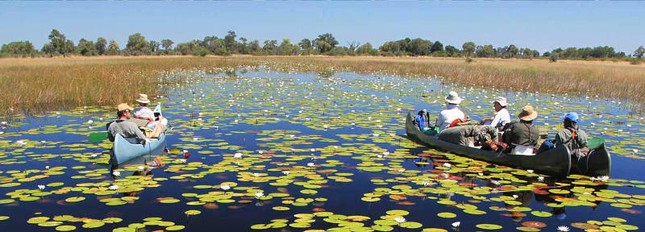 Đồng bằng Okavango - Di sản thiên nhiên thế giới tại Botswana - ảnh 8