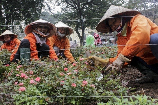 Ngắm Hà Nội rực rỡ cờ hoa dịp Đại hội Đảng 12 - ảnh 9