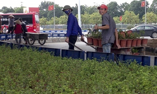 Ngắm Hà Nội rực rỡ cờ hoa dịp Đại hội Đảng 12 - ảnh 10