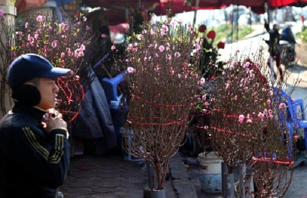 Diễn biến thời tiết Tết Nguyên đán 2016 và 6 tháng đầu năm mới - ảnh 1