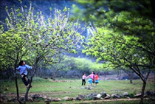 Dự báo thời tiết ngày 9/1: Miền Bắc nhiệt độ tăng nhẹ - ảnh 1