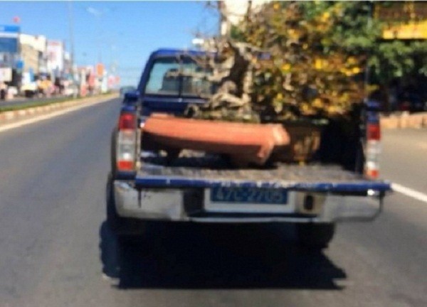 Đắk Lắk yêu cầu báo cáo vụ 'xe công an chở quà Tết chạy ẩu' - ảnh 1