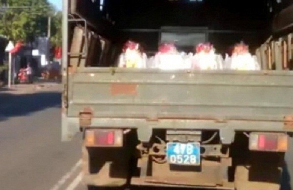 Đắk Lắk yêu cầu báo cáo vụ 'xe công an chở quà Tết chạy ẩu' - ảnh 2