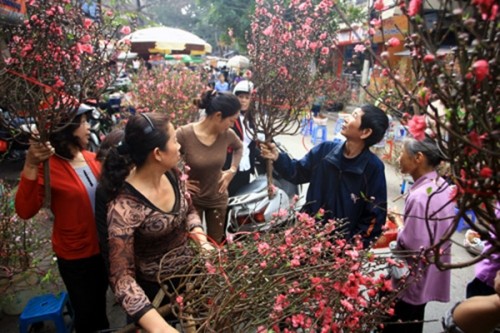 Hà Nội hửng nắng, quất, đào 'đại hạ giá' vẫn không có người mua - ảnh 2