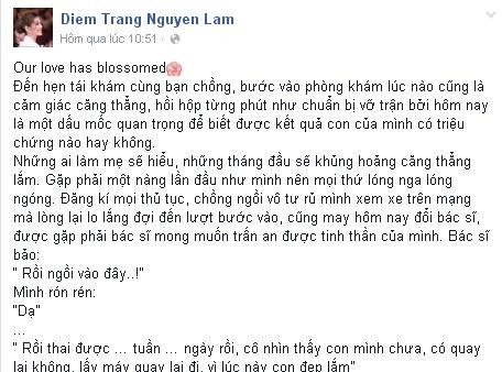 Á hậu Diễm Trang cảm xúc lẫn lộn trước tin mang bầu 3 tháng - ảnh 2
