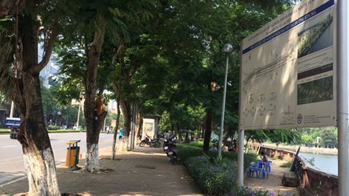 Hà Nội chặt chuyển hơn 100 cây xanh phố Kim Mã - ảnh 1