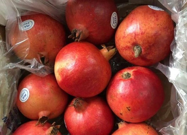 Quả lựu khổng lồ giá 350.000 đồng/kg tại Hà Nội - ảnh 1