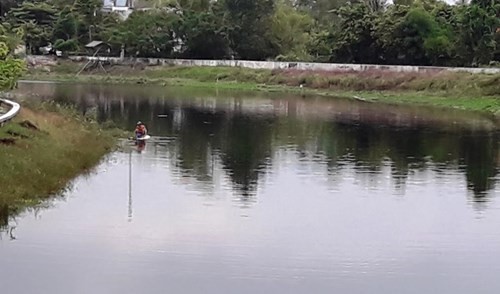 TT-Huế: Cá chết bất thường trên các sông ở Quảng Điền - ảnh 2