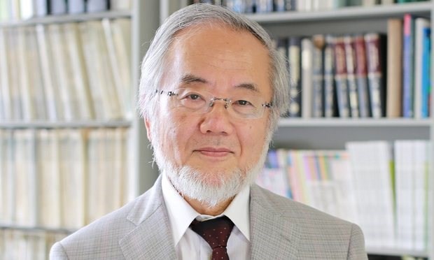 Công trình nghiên cứu giành giải Nobel Y học 2016 có gì đặc biệt? - ảnh 1