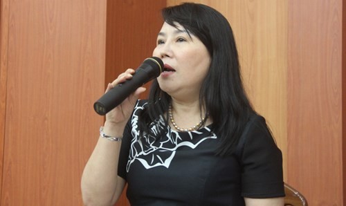 Họp báo về nhà máy thép nghìn tỷ ở Quảng Nam - ảnh 2