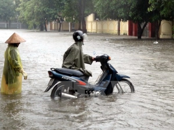 Các địa phương chủ động cho học sinh nghỉ học khi mưa lũ lớn - ảnh 1