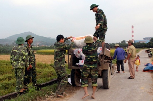Dân Quảng Ninh chằng nhà, gặt lúa chạy đua với bão - ảnh 8