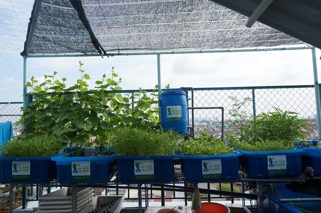 Thiết kế mô hình làm thực phẩm sạch tại nhà nở rộ ở Sài Gòn - ảnh 1