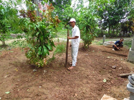Lấp cát bảo tồn hiện vật nơi nghi chôn cất vua Quang Trung - ảnh 1