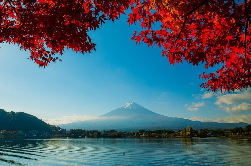 Sắc Thu rực rỡ của vùng núi Phú Sĩ trong tiết trời se lạnh đầu Đông