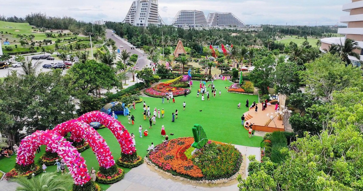 Chưa từng có: Rừng hoa đại ngàn khoe sắc bên phố biển Quy Nhơn