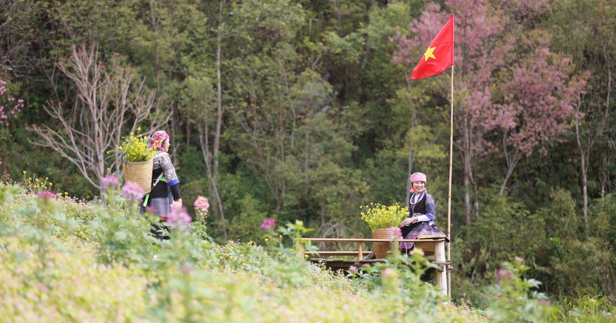 Đưa Mù Cang Chải trở thành điểm đến du lịch tiêu biểu Tây Bắc