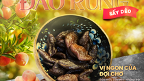 Quà tết 2026: Đào rừng sấy dẻo – phẩm quà ngọt ngào của mùa giá băng