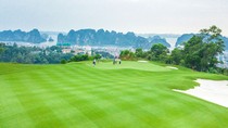 Với nhiều sân golf đẳng cấp quốc tế, Việt Nam là điểm đến yêu thích của du khách Hàn Quốc, ảnh sân golf FLC Hạ Long.