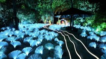 Những gợi ý trải nghiệm tại Singapore cho kỳ nghỉ lễ 2/9 sắp tới