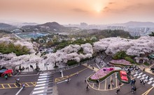 Dễ dàng bay Nhật - Hàn - Đài, săn ngay 200.000 vé từ 0 đồng của Vietjet Dễ dàng bay Nhật - Hàn - Đài, săn ngay 200.000 vé từ 0 đồng của Vietjet