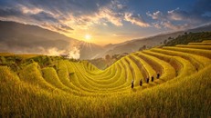 Ruộng bậc thang nào ở nước ta được công nhận là di tích quốc gia đặc biệt?