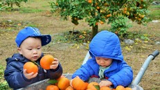 Những đứa trẻ cần có môi trường sống Xanh (Ảnh: Hồng Giang)