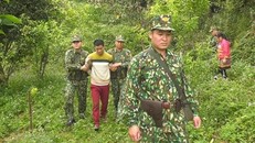Ảnh minh họa
