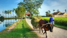 Làng cổ nào được xếp hạng Di tích quốc gia đầu tiên ở Việt Nam?