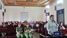 Kẻ hoạt động lật đổ chính quyền ở Hà Tĩnh lãnh án 9 năm tù