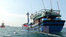 EC xem xét 'thẻ vàng' với thủy sản Việt Nam trong tháng 5/2018