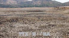 Không để người dân vùng hạn Ninh Thuận thiếu nước sinh hoạt