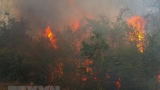 Ảnh chỉ có tính minh họa. (Ảnh: Hồng Điệp/TTXVN)