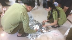 Hà Nội: Tịch thu hàng nghìn gói mỹ phẩm không rõ nguồn gốc