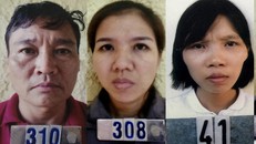 Khởi tố hiệu trưởng lừa bán chứng chỉ cho hàng trăm người