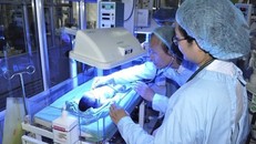 74 ngày hồi sinh của cặp song sinh 1kg, không khóc không thở