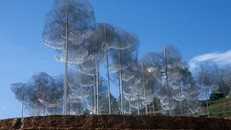 Xếp hàng xem mây pha lê trên ruộng bậc thang đang gây xôn xao