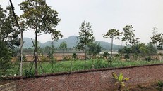 Thứ trưởng Tài nguyên gom đất nông lâm trường do... 'ở quê khó khăn'