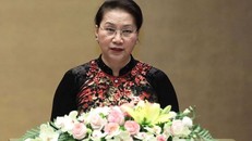 Lập đoàn giám sát chuyên đề của Quốc hội