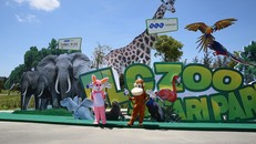 Khám phá biển xanh: Món quà ‘bất ngờ’ cho bé ngày Quốc tế thiếu nhi 1/6