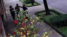 Kẻ giật dây chuyền của cán bộ ngoại giao Nga ở TP HCM bị bắt