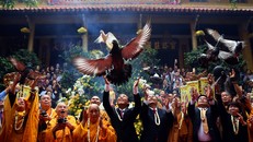 Phóng sinh ở Hà Nội, Sài Gòn, rước Phật tại Huế ngày Phật đản