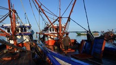 Philippines yêu cầu Trung Quốc chấm dứt tịch thu cá của ngư dân