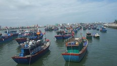 Các phương tiện hoạt động trên biển đã nhận được thông báo về vị trí và hướng đi của Áp thấp nhiệt đới.