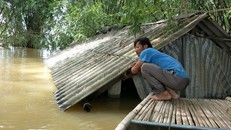 Dân Ninh Bình liều mình vượt lũ cứu tài sản bị nhấn chìm trong nước