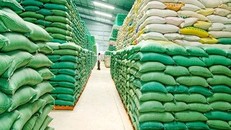 Quy định mới về điều kiện kinh doanh xuất khẩu gạo