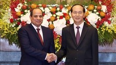 Tuyên bố chung Việt Nam-Ai Cập