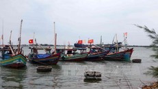 Chủ động ứng phó với vùng áp thấp trên biển. Ảnh minh họa: Tin tức/TTXVN.